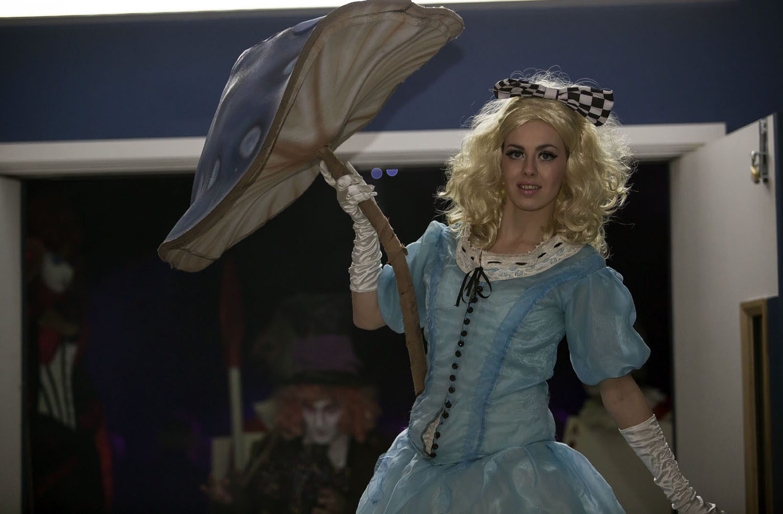 Alice In Wonderland Fairytale Costume