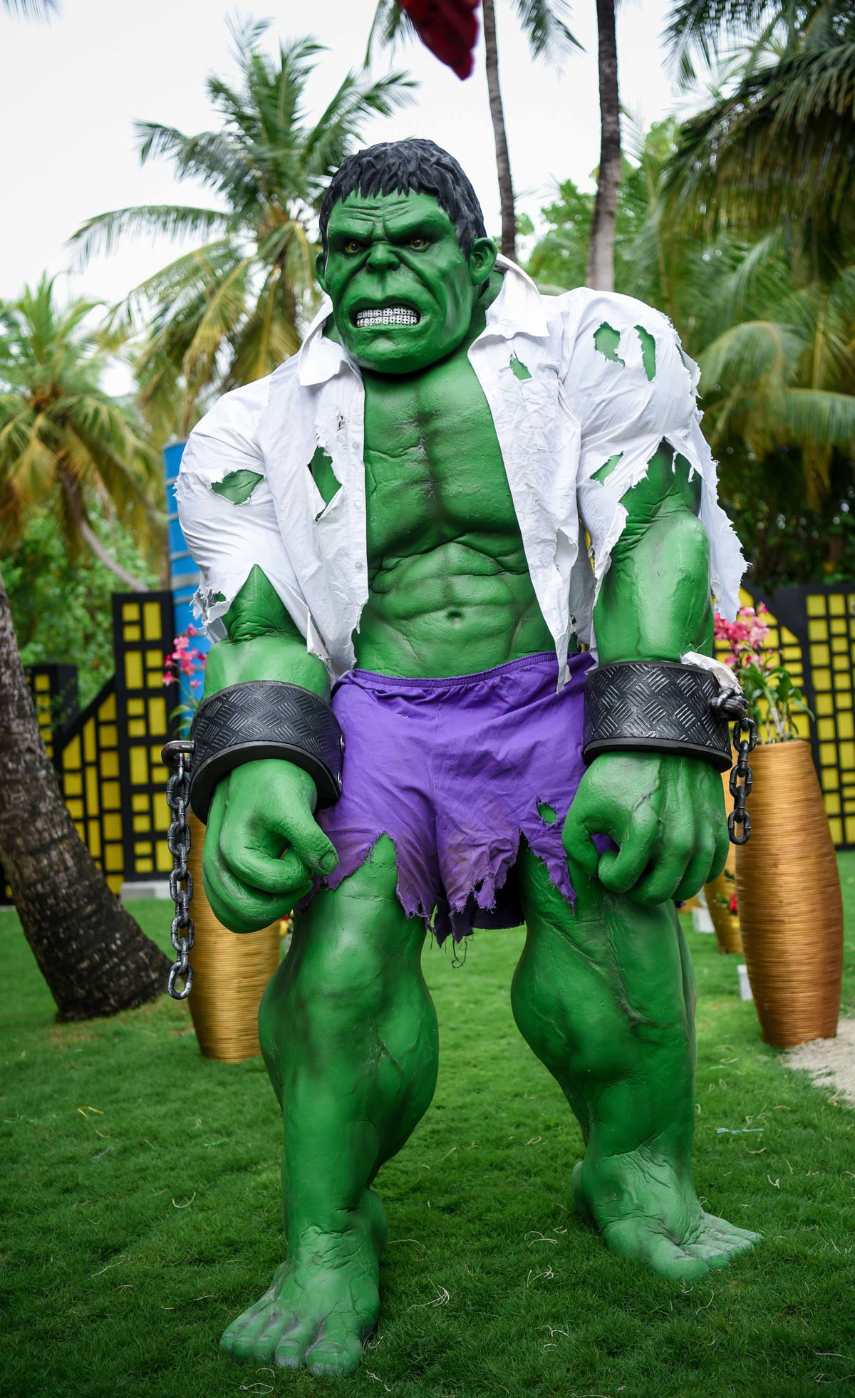incredible hulk costume