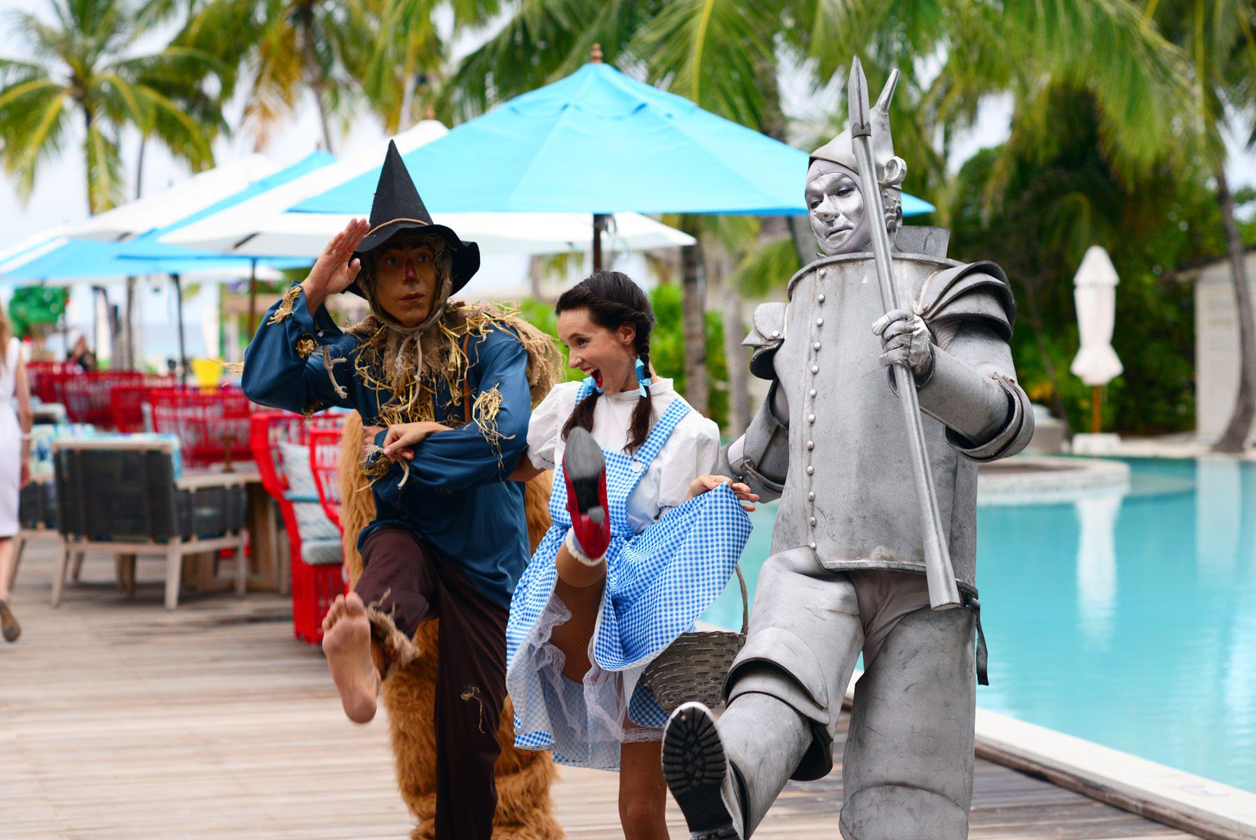 off to see the wizard finolhu