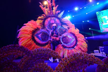 Rio carnival feathers dancer
