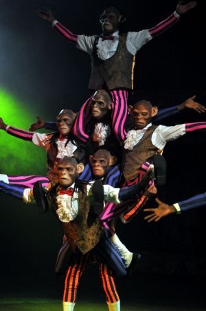 Chimp Acrobats Circus