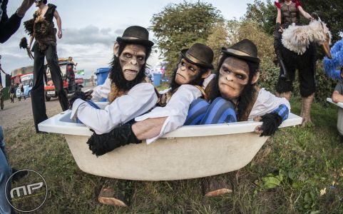Chimps At Zoo Project