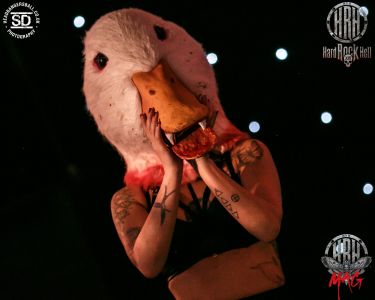 evil duck costume