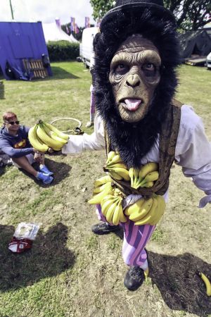 Human Chimp Bananas
