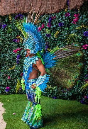 Vibrant Rio Carnival Costume