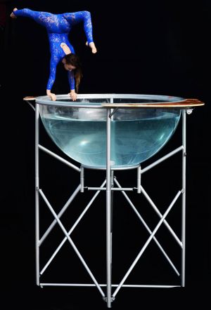 water contortion bowl act